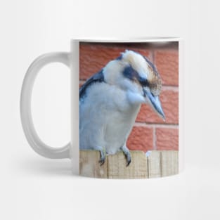 Kookaburra on the Fence! Mug